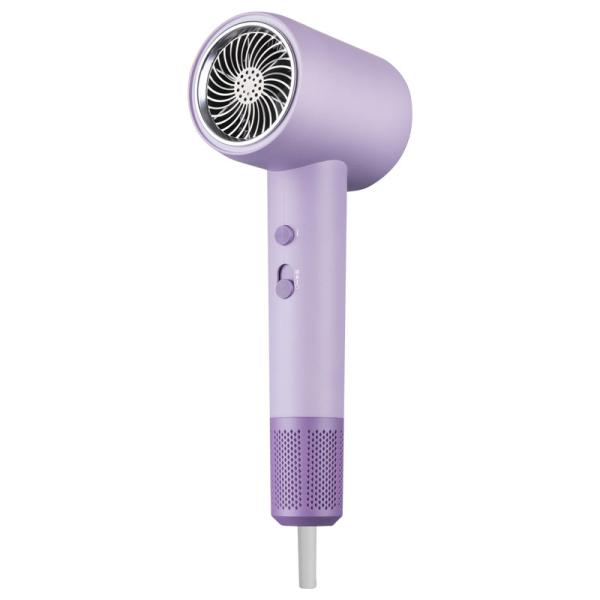 2000W Secador de cabelo profissional de baixo ruído silencioso iões negativos