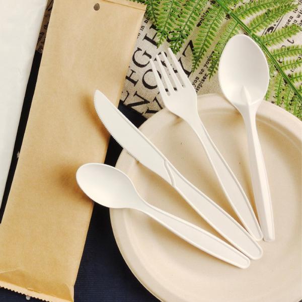 OEM PLA Disposable Plastic Cutlery Packs Flatware Cutlery Sets Flight Spoon Fork And Knife Kit