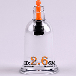 500 MIX Ventouse Ventosa Cupping Massa Single Size Suction Cupping Set with Pump Tool