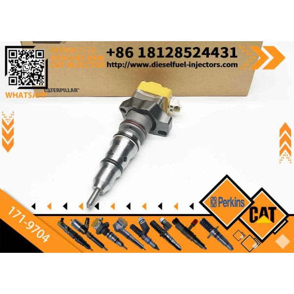 common rail injector 171-9704 171-9710 155-8723 is suitable for CAT3126 diesel engine injector assembly