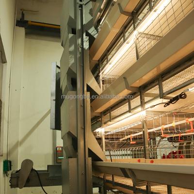 Factory Commercial Layer Broiler Farming Chicken House for Sale