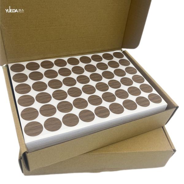 Dustproof Self Adhesive  PVC Screw Hole Stickers（DY-083）