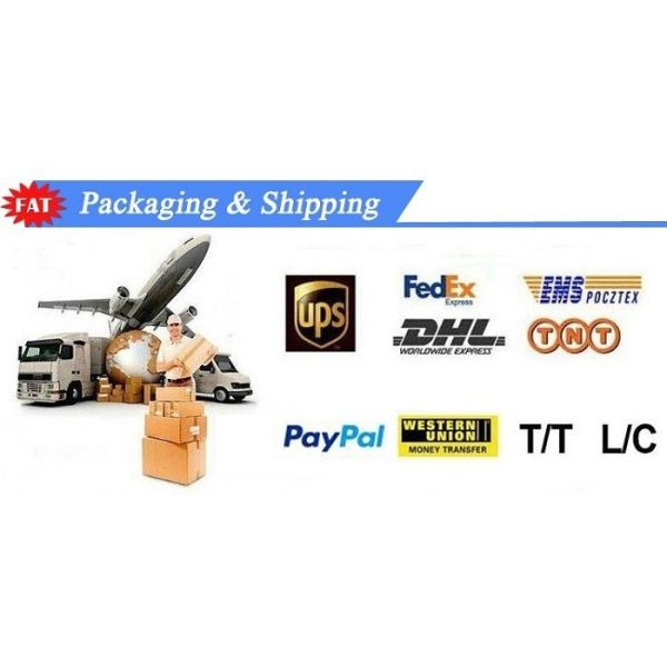 Air Suspension Shock Absorbers W221 4Matic Mercedes Benz Auto Parts A2213201738