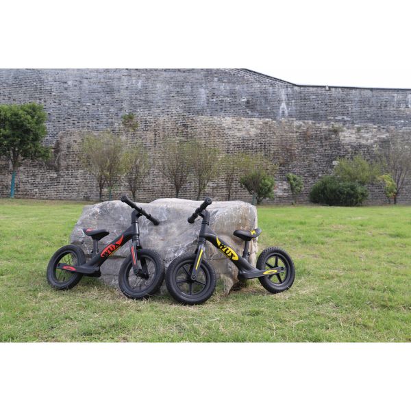 Alloy Frame Lightweight Childrens Bikes OEM With Plastic Wheels