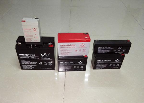 Long Life T11 2.5AH 6V Lead Acid Battery Maintenance Free With Low Self Discharge