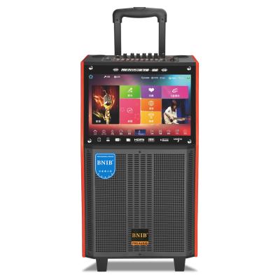 Wooden Wireless Trolley Speaker Subwoofer Karaoke Speaker With Screen