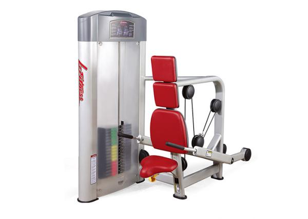Sliver Frame Life Fitness Strength Equipment , Gym Bodybuilding Tricep Press Machine