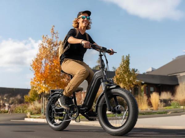 All Terrain Folding Fat Tire Electric Bike 20x4 Powerful All-Terrain Mountain Snow Beach Fat Tire E-Bike
