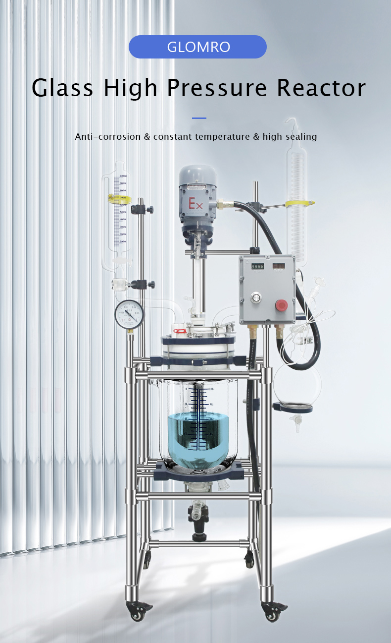 Боросиликатный стеклянный реактор высокого давления для университетских лабораторий