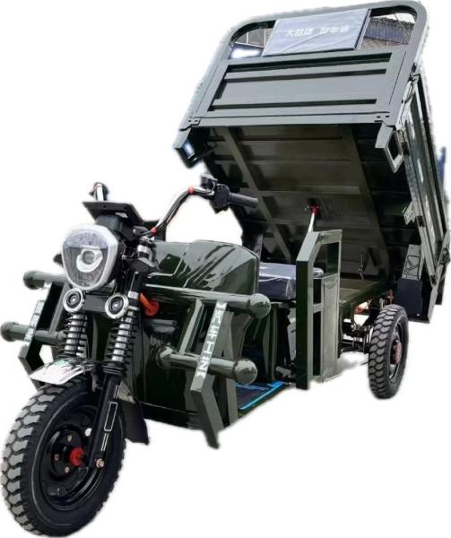 Payload Capacity ≥400kg Electric Tricycle Cargo Truck Vehicles with Self Discharging