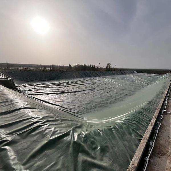 Construction Material Hdpe Liner Sheet Swimming Pool Liner Plastic Sheet Waterproof Geomembrane