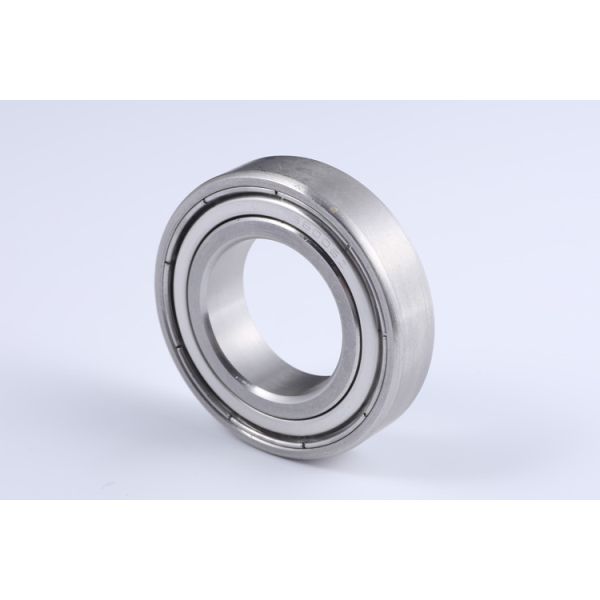 Rubber Dinghy 304 Stainless Steel Bearing S6006ZZ Size 30*55*13mm