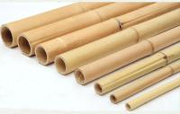 Poteaux en bambou 100% naturel personnaliser la longueur support végétal écologique piquets de jardin