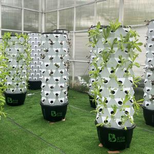 Kit de cultivo hidropónico automático com linha visível e cesta removível