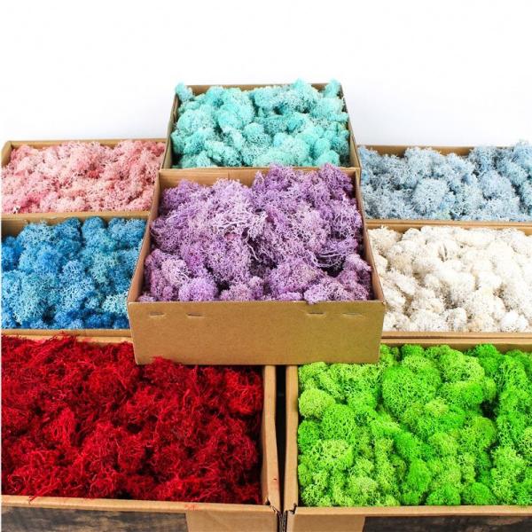 All Colors Preserved Natural Moss Balls With Long Preserving Time