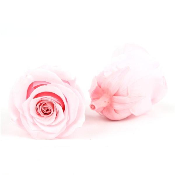 Home Decoration Preserved Rose Heads For Arrangements And Decorations