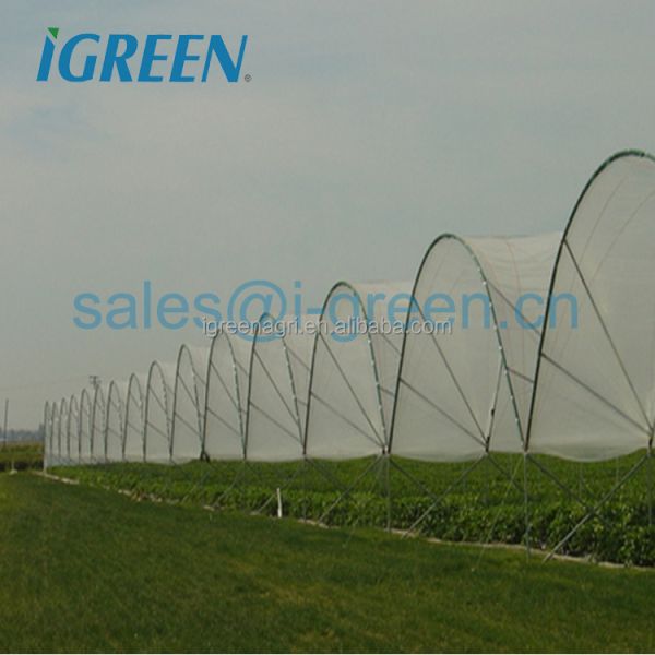 Vertical Strawberry Growing Trough with Galvanized Steel Plate and Drip Irrigation System for Customizable Hydroponic Cultivation