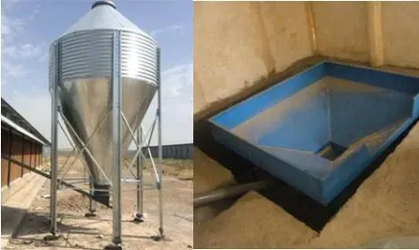 256 Unit Capacity Automatic Poultry Farming Equipment with Hot-DIP Galvanized Steel and Automatic Feeding System