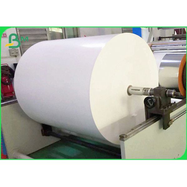 Greaseproof PE Coated Laminated Cupstock Paper Roll For Hot Drink Cups