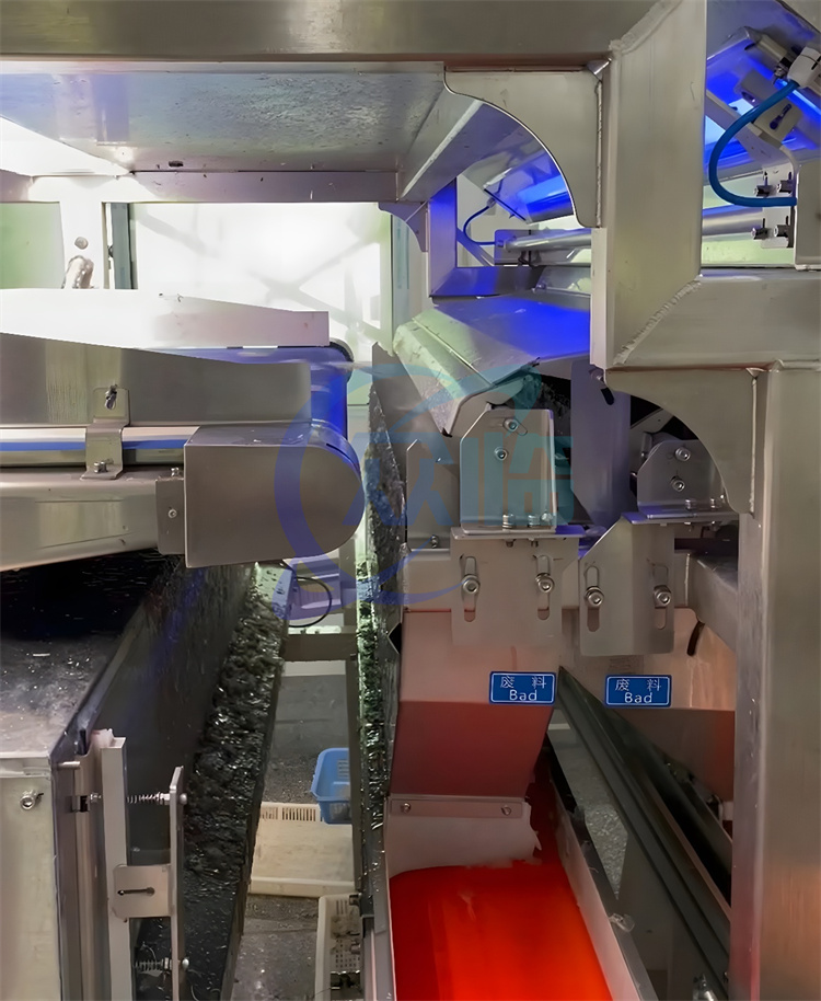 1000KG/H-1500KG/H Shrimp Separator Machine 380V 3P 50HZ Seafood Processing Line