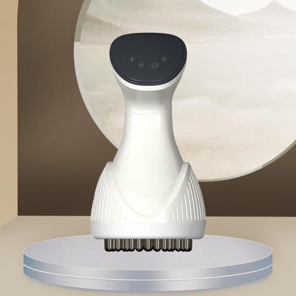 Home Electric Microcurrent EMS Massage Device Handheld Anti Cellulite Meridian Massage Brush