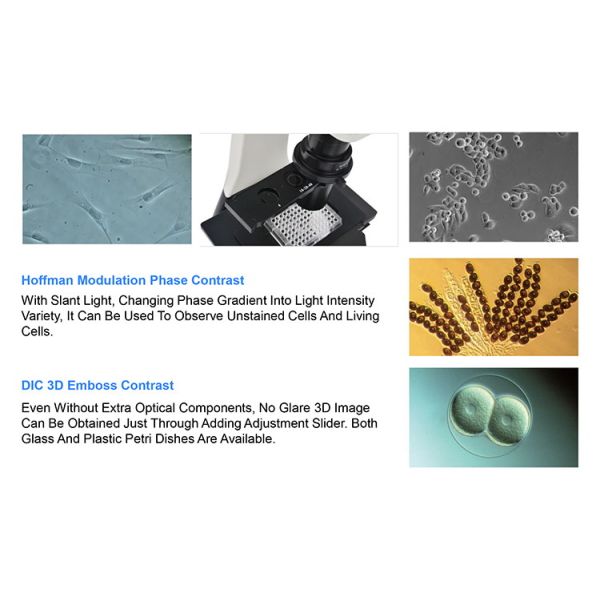 OPTO EDU A14.1065 Tilting Inverted Phase Contrast Microscope