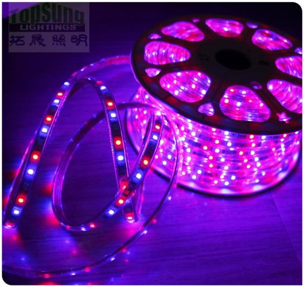 50m bobina micro led tira 5050 à prova d'água 110V fita flexível RGB perseguição tiras de luz 60SMD/M