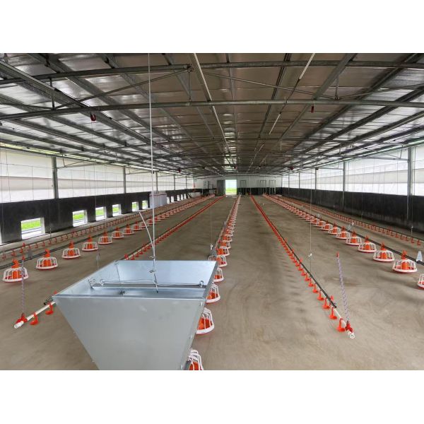 Aluminum Magnesium Zinc Coated Frame Poultry Cage Equipment Seeder Feeding System Retractable Homogenizer