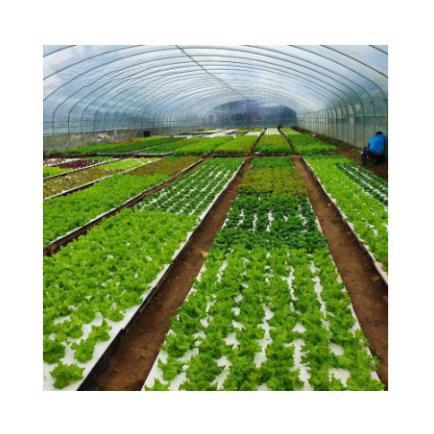 160 Holes Floating EPS EPP Foam Board For Growing White Seedling Vegetables