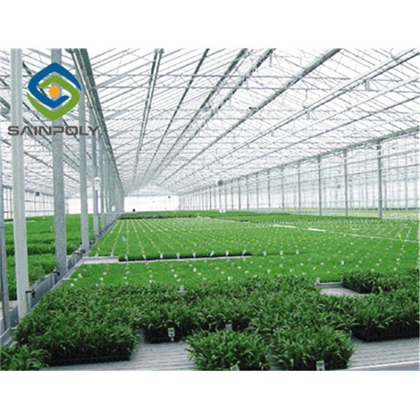 275g/m2 Side Ventilation Glass Hydroponic Greenhouse For Flowers
