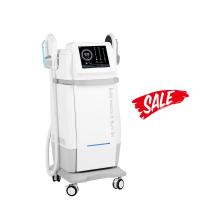 Electric EMS Sculpting Machine Commercial Professional Muscle Stimulator Machine 230V