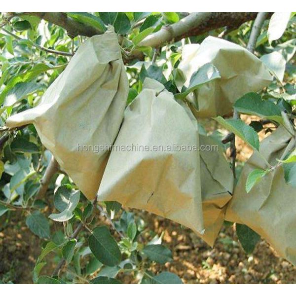High Speed Fruit Vegetable Processing Machine Grape Growing Cover Paper Bag Maker