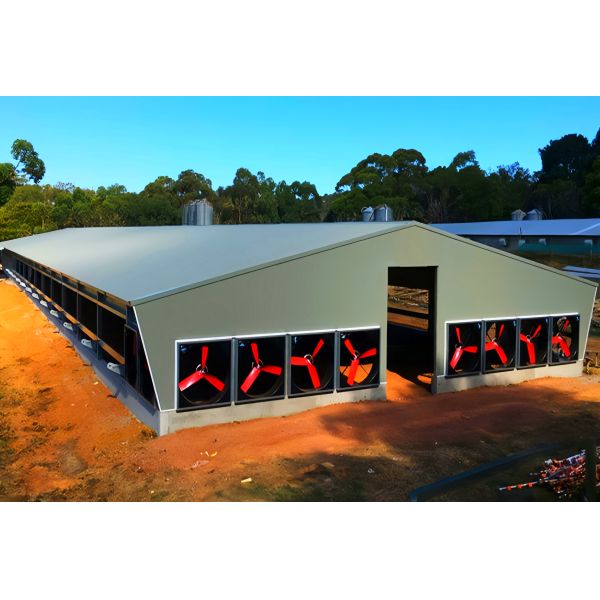 Prefabricated Steel Poultry House Q355B Beams 20lb Roof Load
