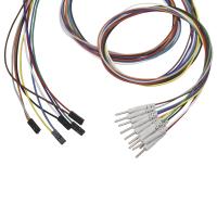 Électrode de fil de connexion de Pin Plug To 2,00 millimètre Pin Leadwires Plated Gold EEG EMG des électrodes 2 de Dupont EEG
