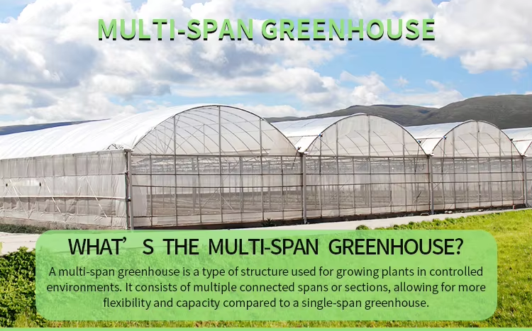 Сельскохозяйственная овощная теплица многопролетная томатная теплица для фруктов цветок