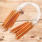 Les aiguilles de tricotage circulaires en bambou de tube transparent doublent les kits aigus d'aiguilles de crochet