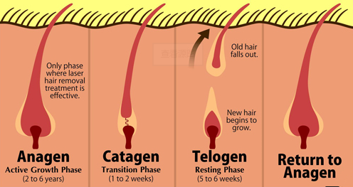 Combined e-light nd yag laser hair removal settings , skin care machine