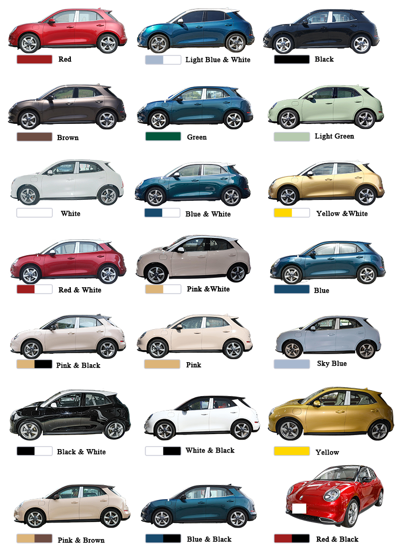 ORA Good Cat Pure Electric 5 Seater Hatchback Cars High Class And Exquisite