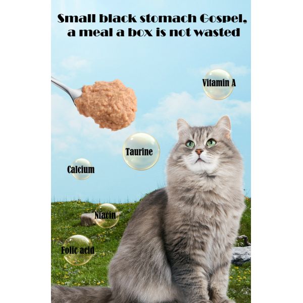 Pet Cat Wet Food Professional OEM Cat Food Lunch Box for Medium Breeds at Special Diet