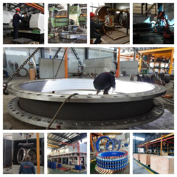 1 6 2 Stainless Steel Braided Flex Hose Ansi Din 304 316l Blind Flange Provided Freely ISO9001