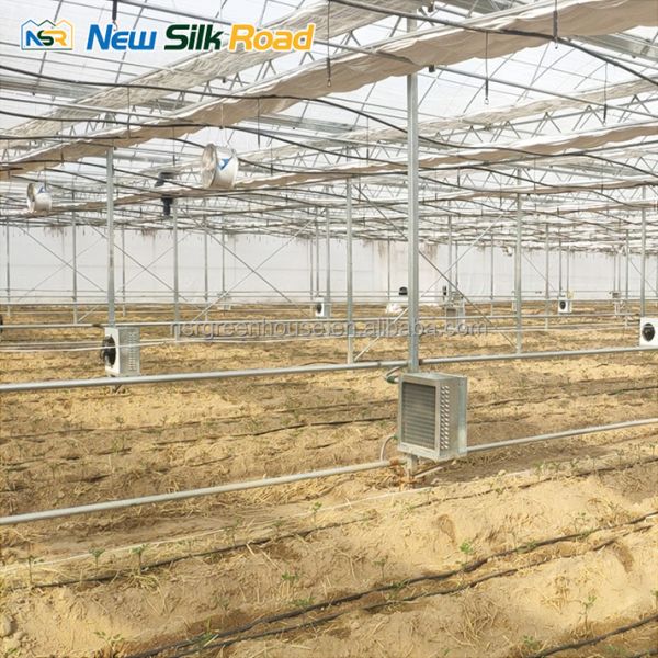 vegetable garden greenhouse frame agricultural greenhouses tunneling polycarbonate greenhouses supplier for plants