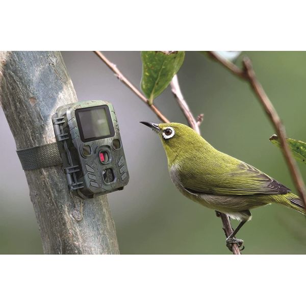 Mini Trail Camera Outdoor Hunting infrarrojo 4K HD 20MP 1080p