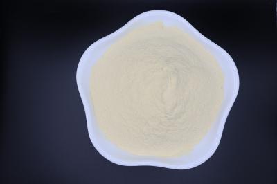 High-Quality Bone Peptone - Ideal for Microbial Culture and Biopharmaceuticals