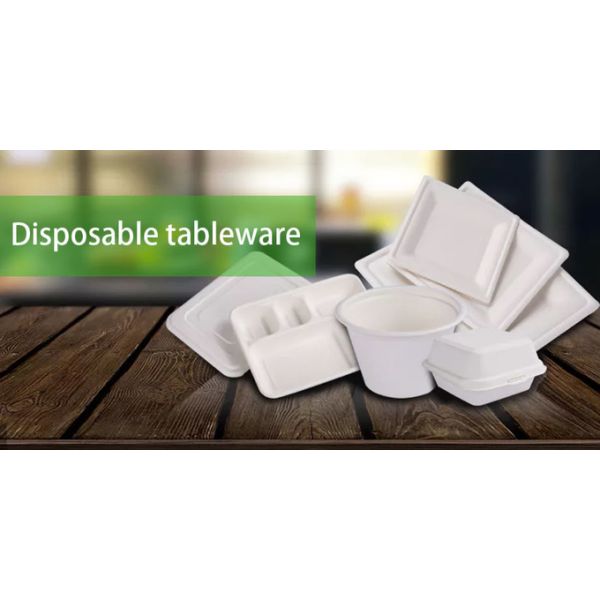 245mm Disposable Food Packaging Containers FSC Environmental Protection Tableware