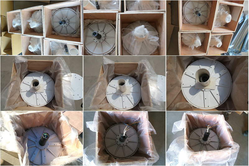3 Phase Coreless Permanent Magnet Generator 0.1kW-20kW Low Torque