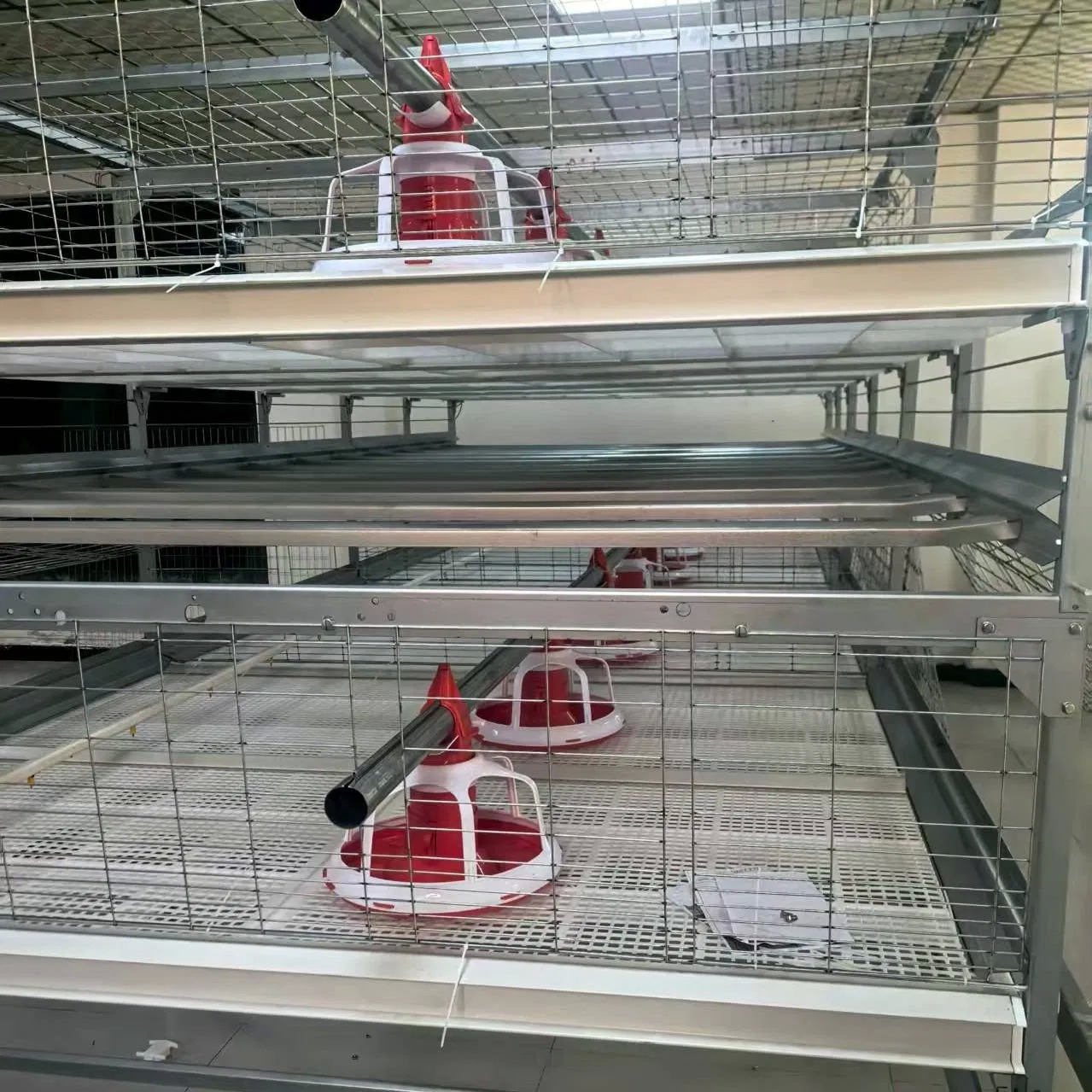 H Type Broiler Cage System Multi Tiers Chicken Broiler Cage With Harvesting System