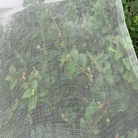 Reusable And Tear Proof Garden Netting Keep Fruits Safe From Pests
