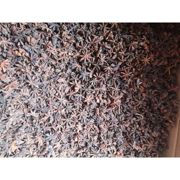 Новая анисовка звезды осени урожая осеменяет естественное