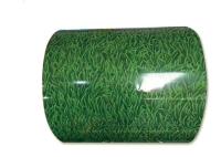 bobina de aço de 1200mm PPGI