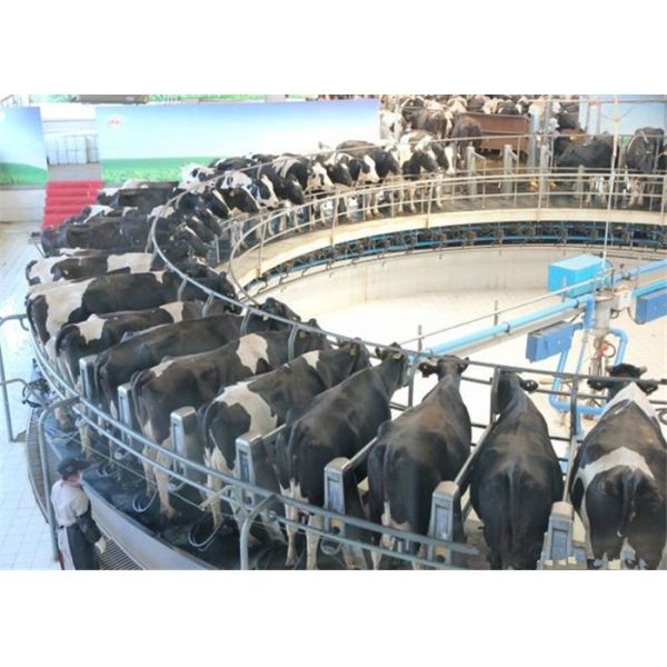 High Efficient Yogurt Production Line 1000L 2000L 3000L With Control System